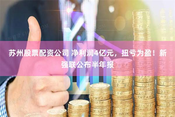 苏州股票配资公司 净利润4亿元，扭亏为盈！新强联公布半年报