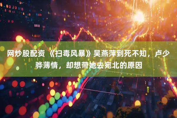 网炒股配资 《扫毒风暴》吴燕萍到死不知，卢少骅薄情，却想带她去宛北的原因